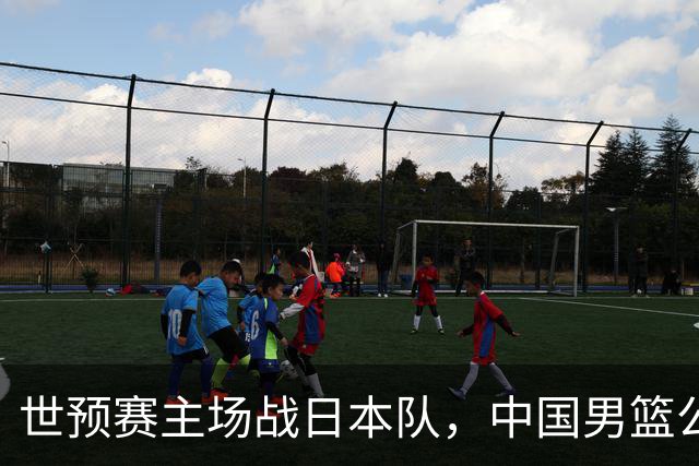 世预赛主场战日本队，中国男篮公布12人名单，杨瀚森、徐昕等在列