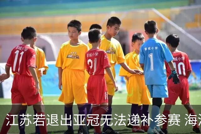 江苏若退出亚冠无法递补参赛 海港仍要先踢附加赛